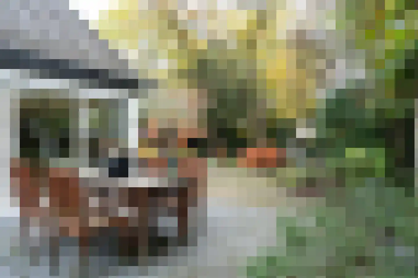 Gistel 6 Helmond thumbnail 63