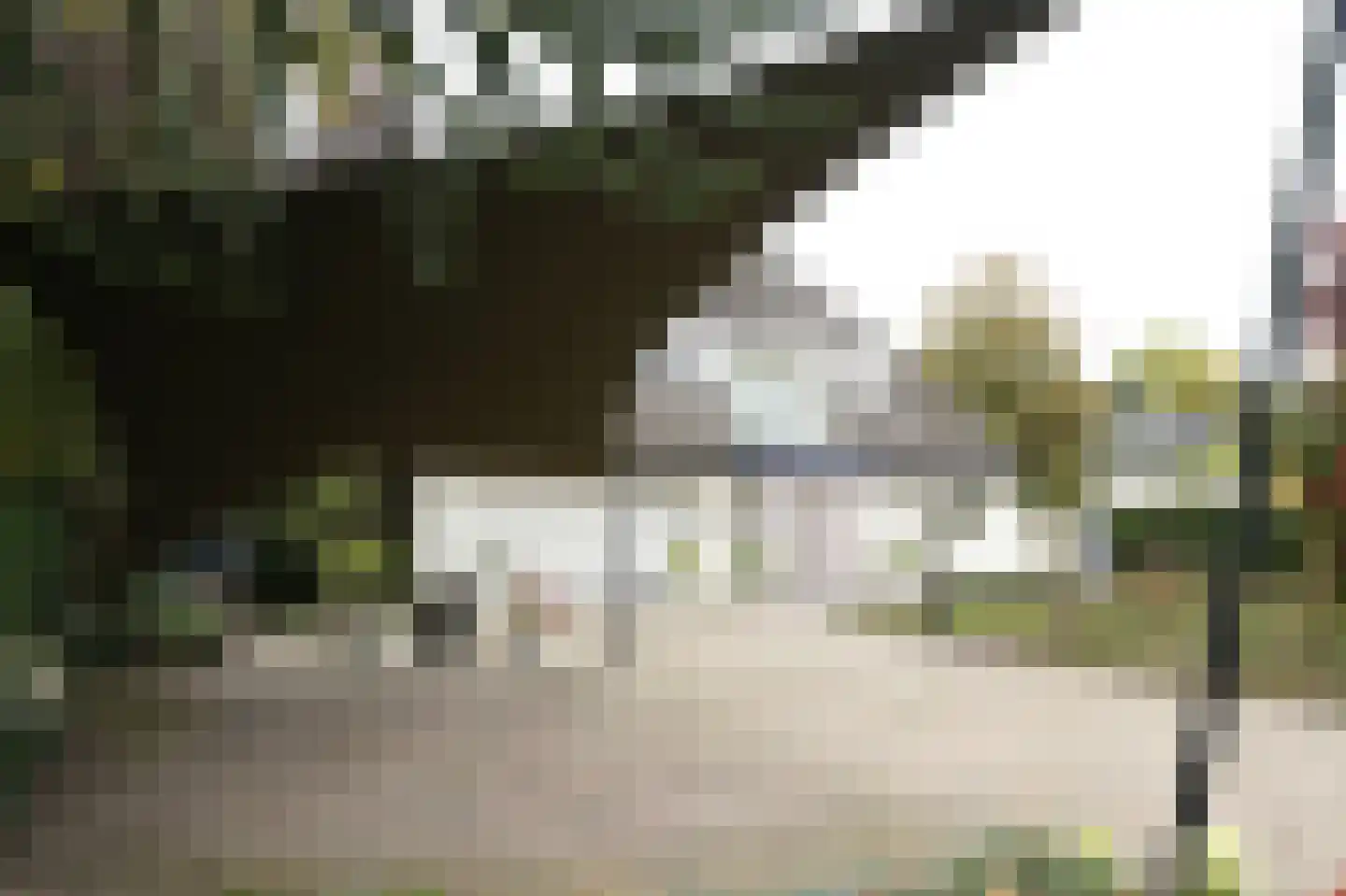 Gistel 6 Helmond thumbnail 7