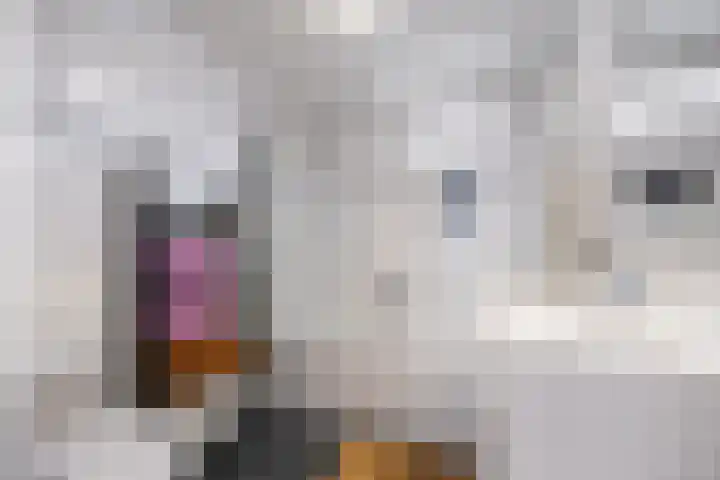Gitaar 74 Ewijk thumbnail 36