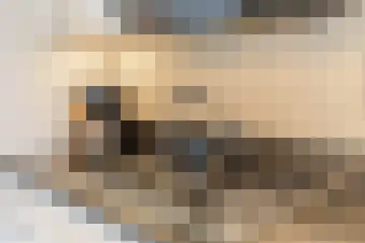 Glacis 12 Vijfhuizen thumbnail 11
