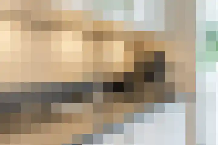 Glacis 12 Vijfhuizen thumbnail 12