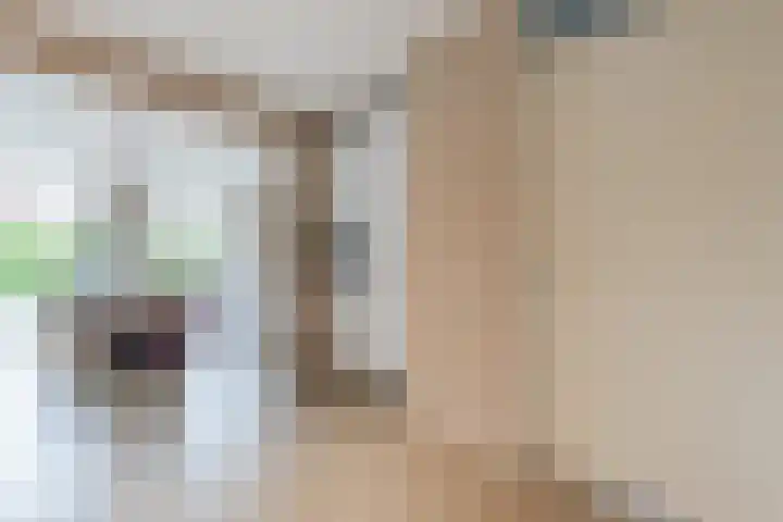 Glacis 12 Vijfhuizen thumbnail 13