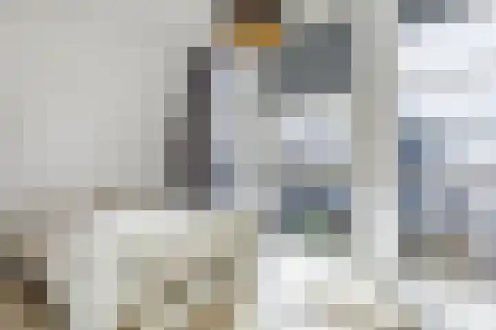 Glacis 12 Vijfhuizen thumbnail 21