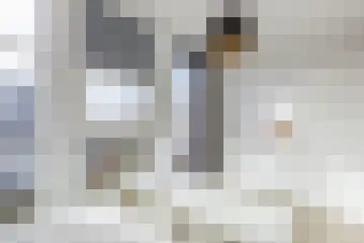Glacis 12 Vijfhuizen thumbnail 22