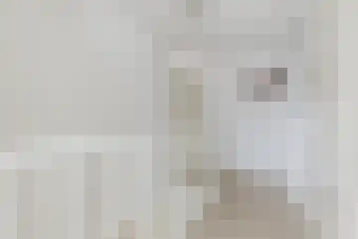 Glacis 12 Vijfhuizen thumbnail 28