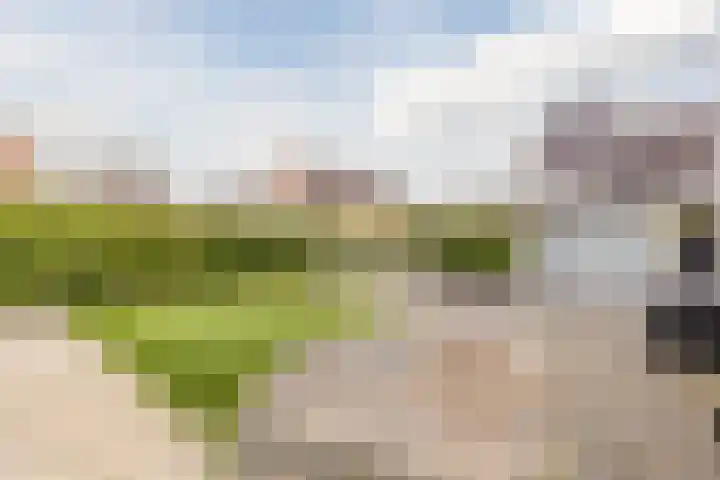 Glacis 12 Vijfhuizen thumbnail 33