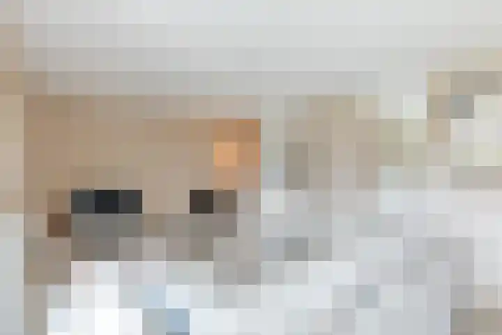 Glacis 12 Vijfhuizen thumbnail 5