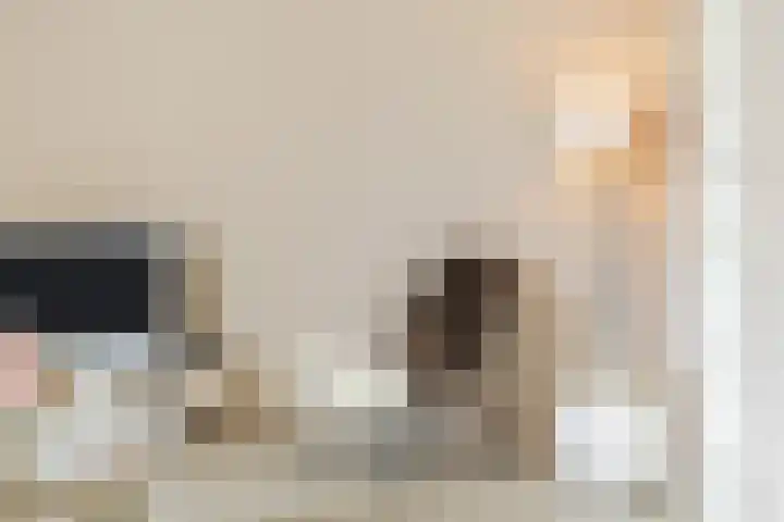 Glacis 12 Vijfhuizen thumbnail 6