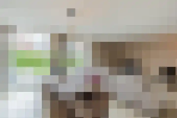 Glacis 12 Vijfhuizen thumbnail 7