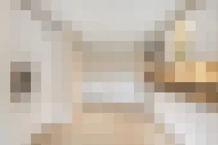 Glacis 12 Vijfhuizen thumbnail 9