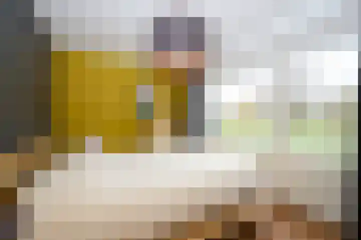 Glacisweg 22 Hulst thumbnail 11