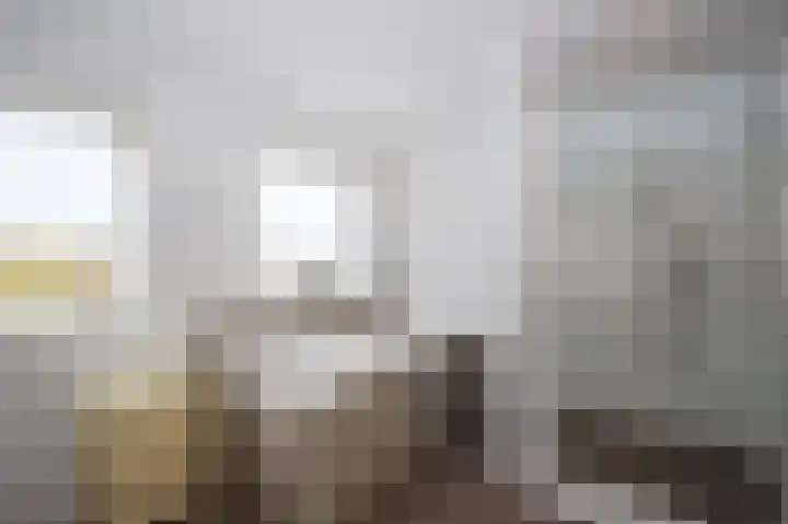 Glacisweg 22 Hulst thumbnail 14