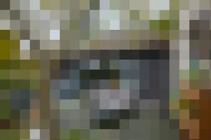 Glacisweg 22 Hulst thumbnail 15