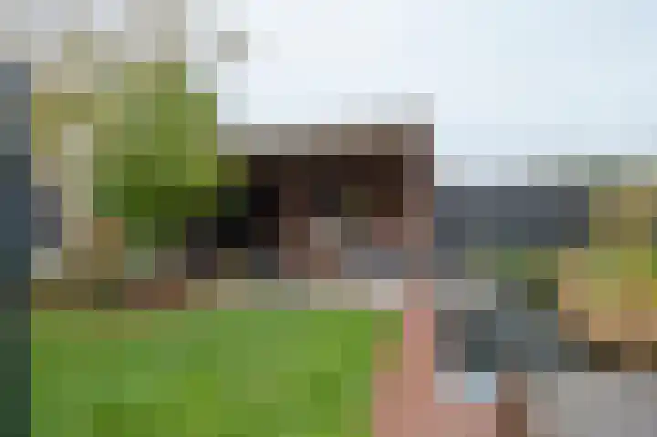 Glacisweg 22 Hulst thumbnail 16