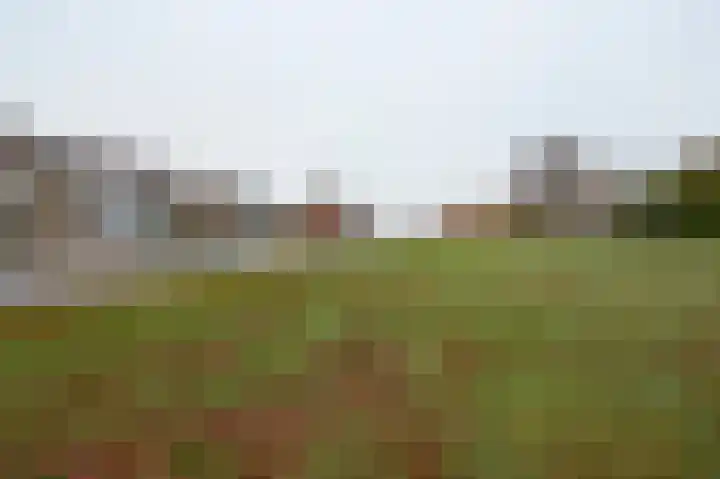 Glacisweg 22 Hulst thumbnail 18