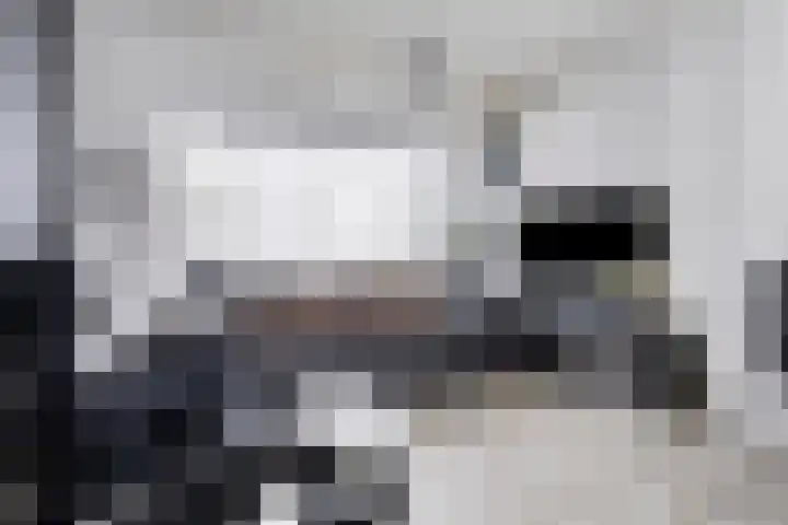 Glacisweg 32 Hulst thumbnail 10