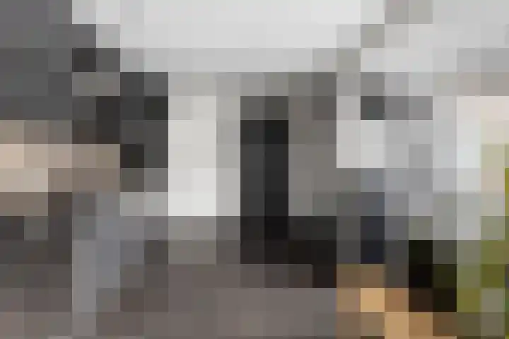 Glacisweg 32 Hulst thumbnail 14
