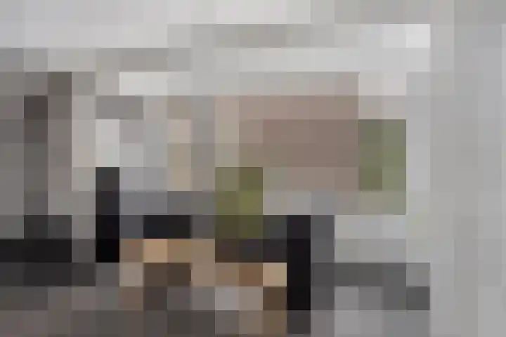 Glacisweg 32 Hulst thumbnail 16