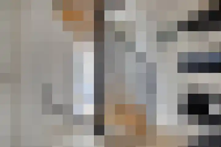 Glacisweg 32 Hulst thumbnail 18