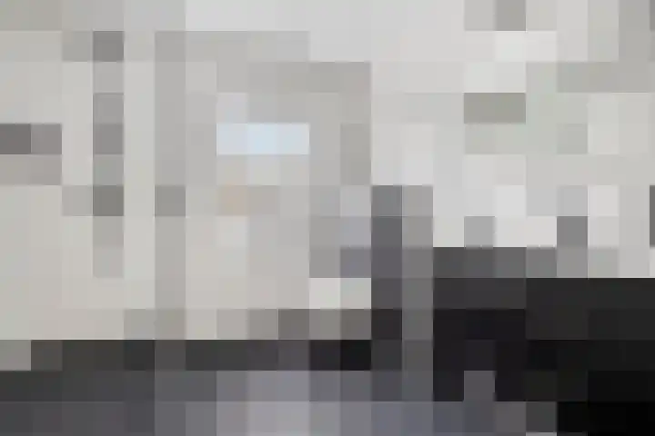 Glacisweg 32 Hulst thumbnail 22