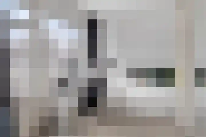Glacisweg 32 Hulst thumbnail 24