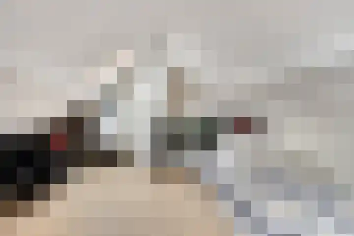 Glacisweg 32 Hulst thumbnail 26