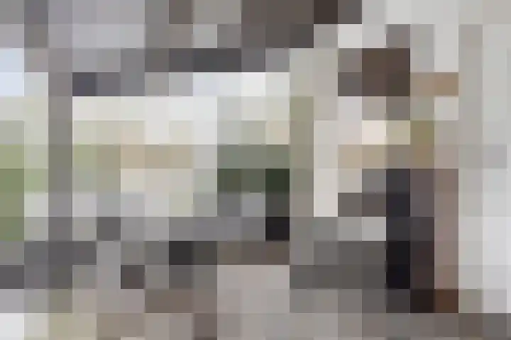 Glacisweg 32 Hulst thumbnail 28