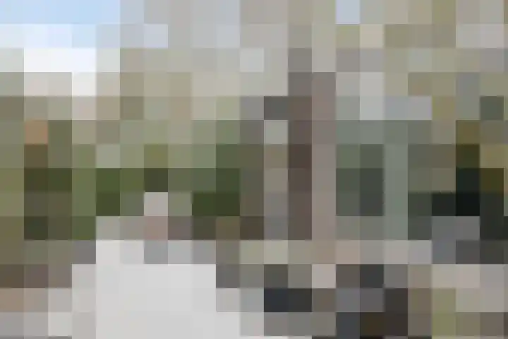 Glacisweg 32 Hulst thumbnail 30