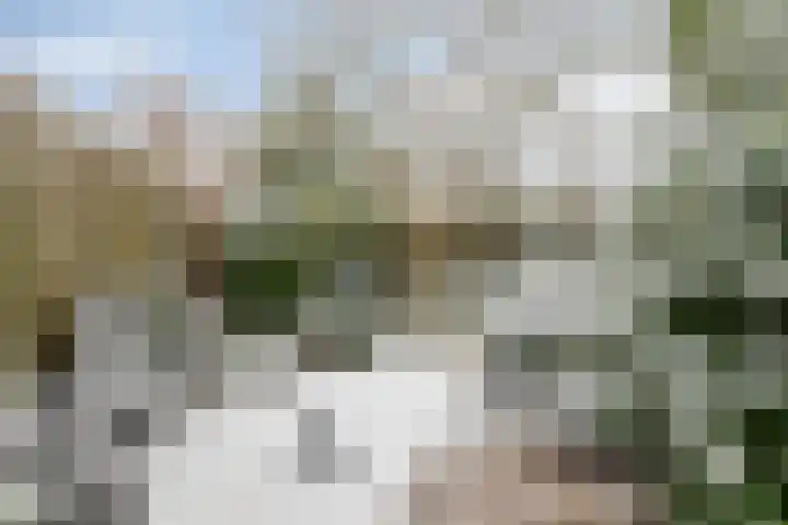 Glacisweg 32 Hulst thumbnail 31