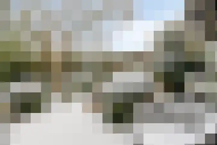 Glacisweg 32 Hulst thumbnail 32