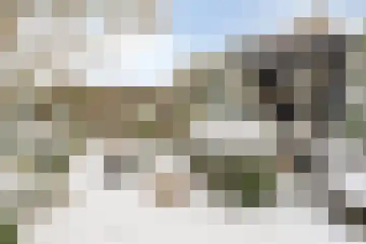 Glacisweg 32 Hulst thumbnail 33