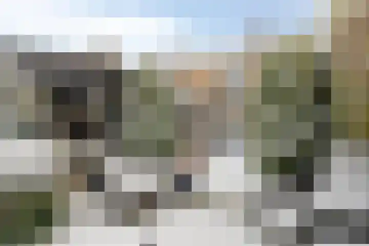Glacisweg 32 Hulst thumbnail 4