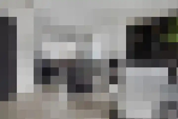 Glacisweg 32 Hulst thumbnail 8