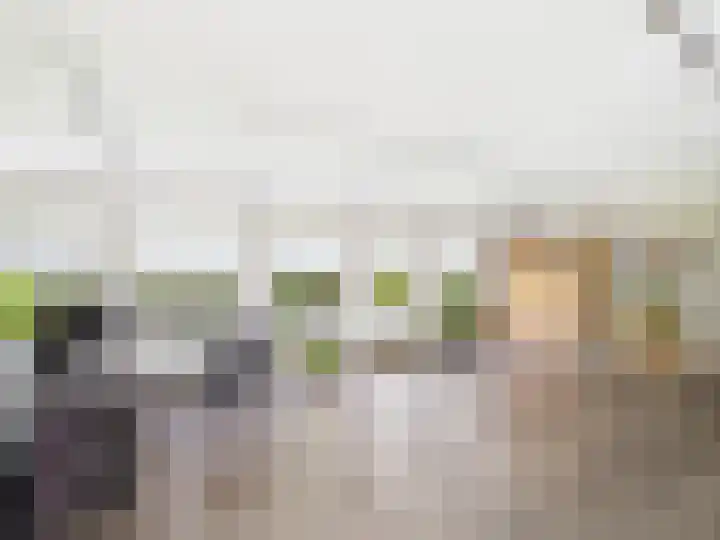 Glacisweg 48 Hulst thumbnail 38