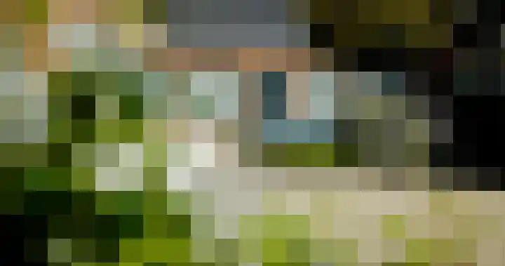 Glacisweg 48 Hulst thumbnail 4