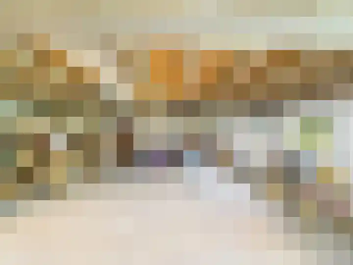 Glacisweg 48 Hulst thumbnail 48