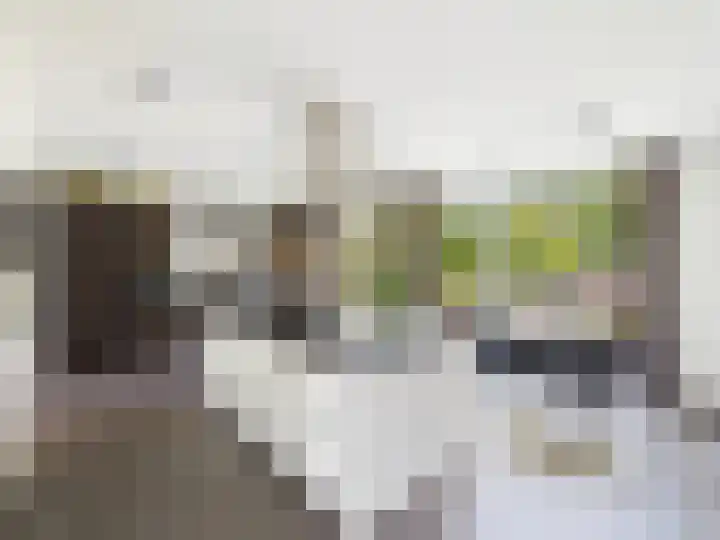 Glacisweg 48 Hulst thumbnail 6