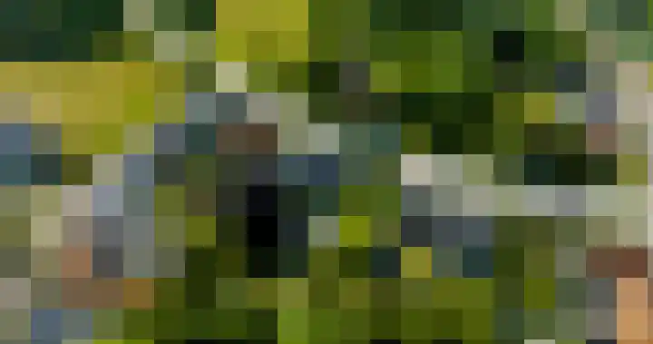Glacisweg 48 Hulst thumbnail 70