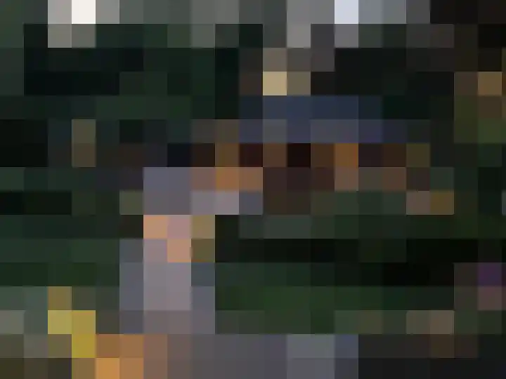 Glacisweg 48 Hulst thumbnail 73
