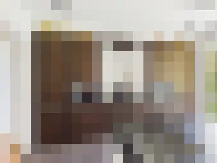 Glacisweg 48 Hulst thumbnail 8