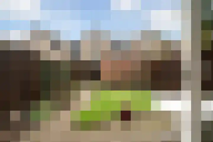 Glanswit 15 Zoetermeer thumbnail 11
