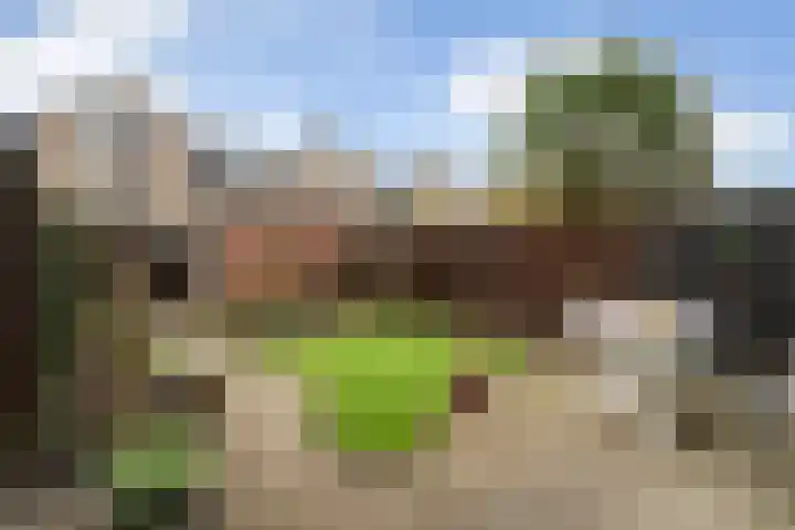 Glanswit 15 Zoetermeer thumbnail 12