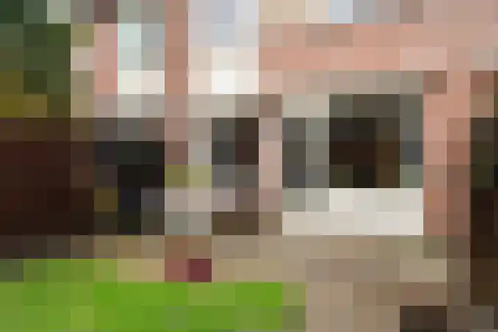 Glanswit 15 Zoetermeer thumbnail 15