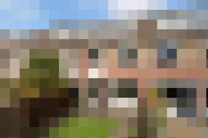 Glanswit 15 Zoetermeer foto 2