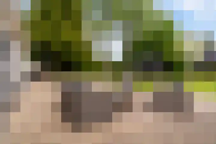 Glanswit 15 Zoetermeer thumbnail 31