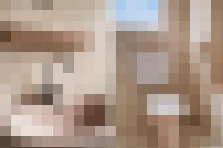 Glanswit 15 Zoetermeer thumbnail 33