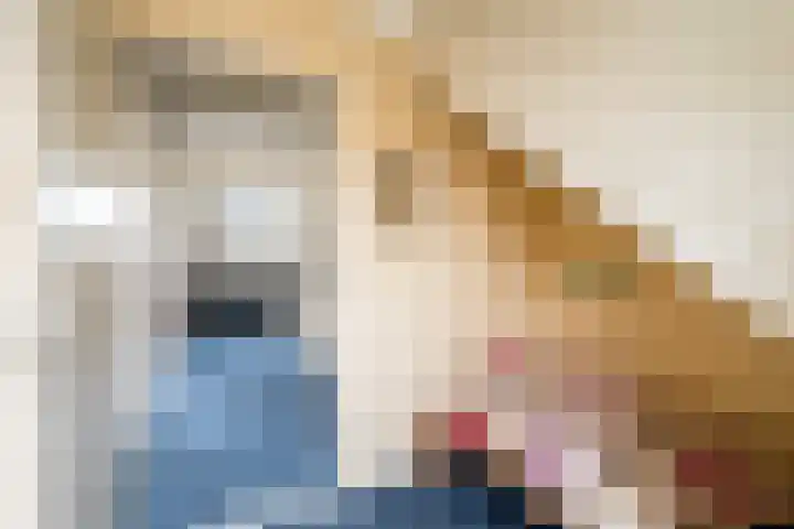 Glanswit 15 Zoetermeer thumbnail 37