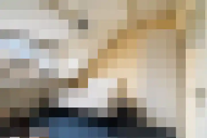 Glanswit 15 Zoetermeer thumbnail 38