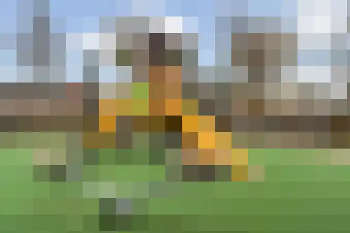 Glanswit 15 Zoetermeer thumbnail 47