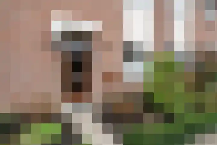 Glanswit 15 Zoetermeer thumbnail 7